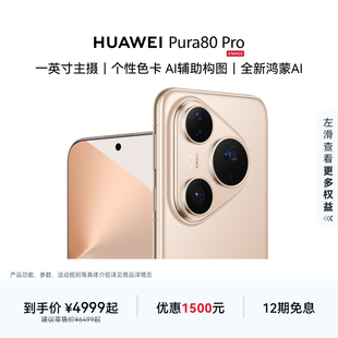 12期免息 Pro一英寸主摄个性 HUAWEI 色卡AI辅助构图华为手机鸿蒙系统华为官方旗舰店享国家补贴 Pura