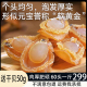 送干贝大鲍鱼干足干黄金鲍鱼干约60头一斤精选溏心海鲜鲍鱼干