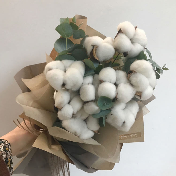 干棉花网红ins风干花束花店花艺