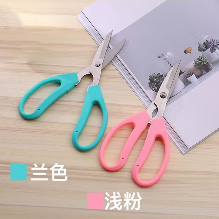 花艺园林专用剪刀玫瑰花艺花束水果盆栽不锈钢修剪工具花店材料剪
