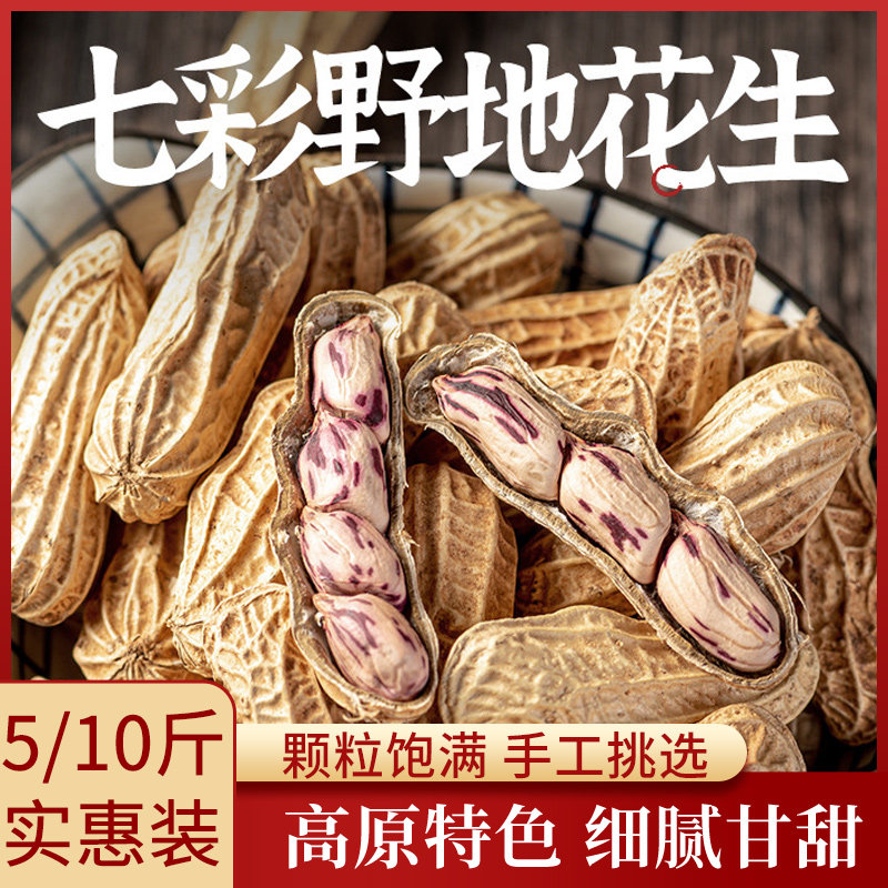 新货云南七彩花生野地花生带壳孔雀花生5斤/10斤七彩花生零食特产
