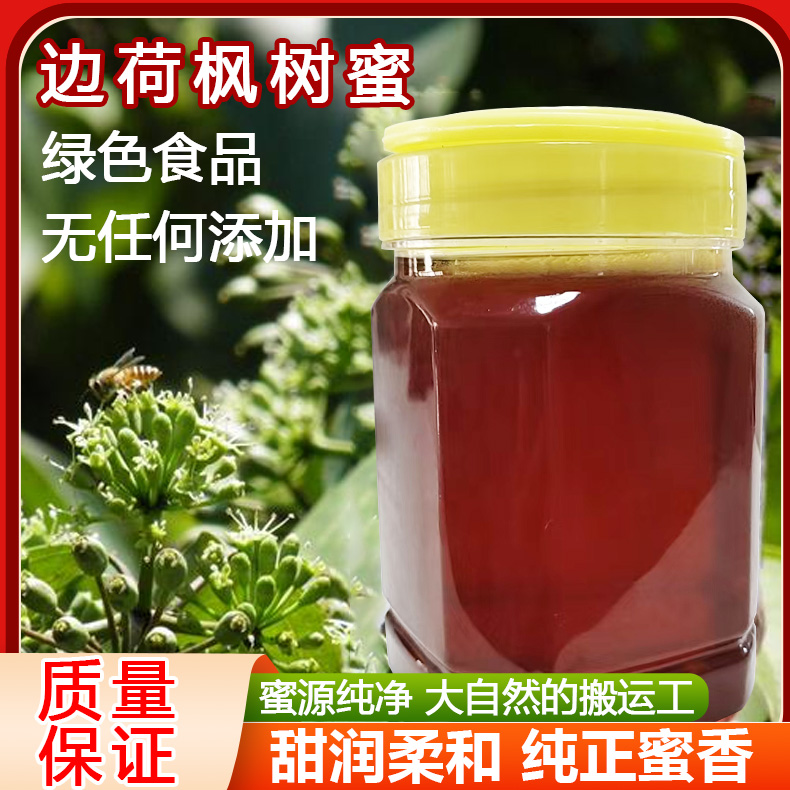 江西省宜春正宗农家边荷枫树蜜树参蜜1斤/2斤自然成熟蜂蜜原蜜