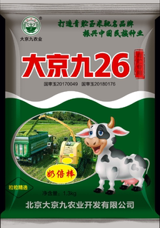 青储玉米高产青贮玉米大京九26草籽青储苞米饲草饲料