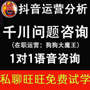 DY抖音巨量千川投流技术分析诊断问题咨询1对1解答诊断直播抖加