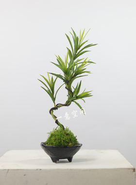 中式侘寂风仿真植物盆景