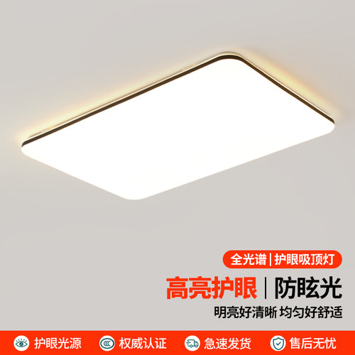 客厅led吸顶灯大气中山灯具