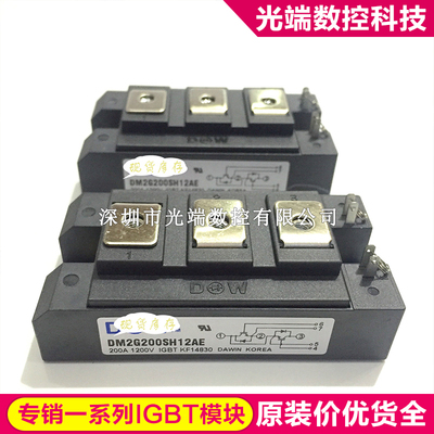 DM2G200SH12AE DM2G150SH12A DM2G200SH12A DM2G300SH12A DM2G150