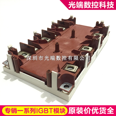 SKIM455GD12T4D1 SKIM270GD176D SKIM455GD12T4DM1 SKIM250GD128