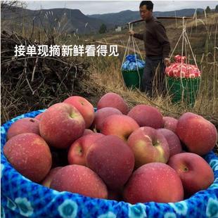 昭通丑苹果正宗当季水果新鲜现摘酸甜脆口汁水多大凉山冰糖心