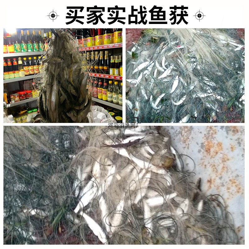 单层网沾白条粘网水库小渔网沉网