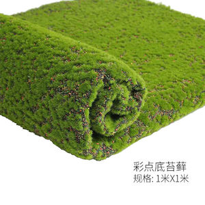 苔藓草坪定制专拍
