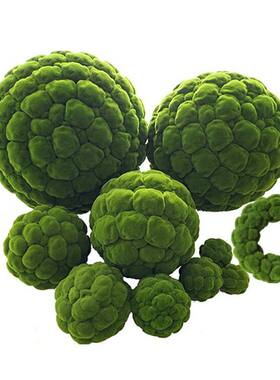 仿真青苔球花石头景观装饰