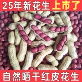 2025年新红皮花生农家自种自然晒干四粒红花生批发