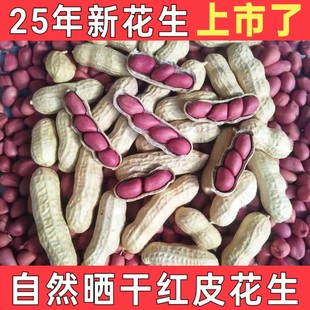2025年新鲜红皮生花生农家自种带壳晒干四粒红花生批发