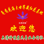 3克 包邮 正品 新货特级官方藏红花茶西红花非西藏进口伊朗滋补红花