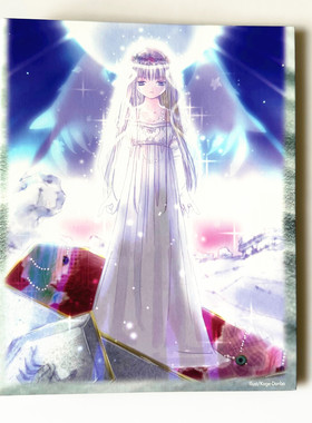 【画王】Aquarian Age 宝瓶时代 水瓶战记 卡牌收藏册 卡册天蝎宫