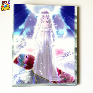 【画王】Aquarian Age 宝瓶时代 水瓶战记 卡牌收藏册 卡册天蝎宫