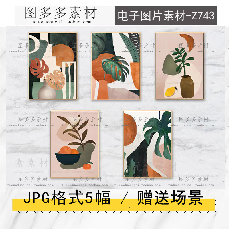 简约北欧莫兰迪抽象几何植物龟背叶小清新艺术小众装饰画素材图片图片