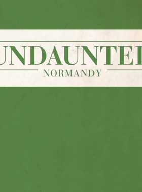 桌游驿站 勇者无惧诺曼底 Undaunted Normandy [组件] 兵战棋定制