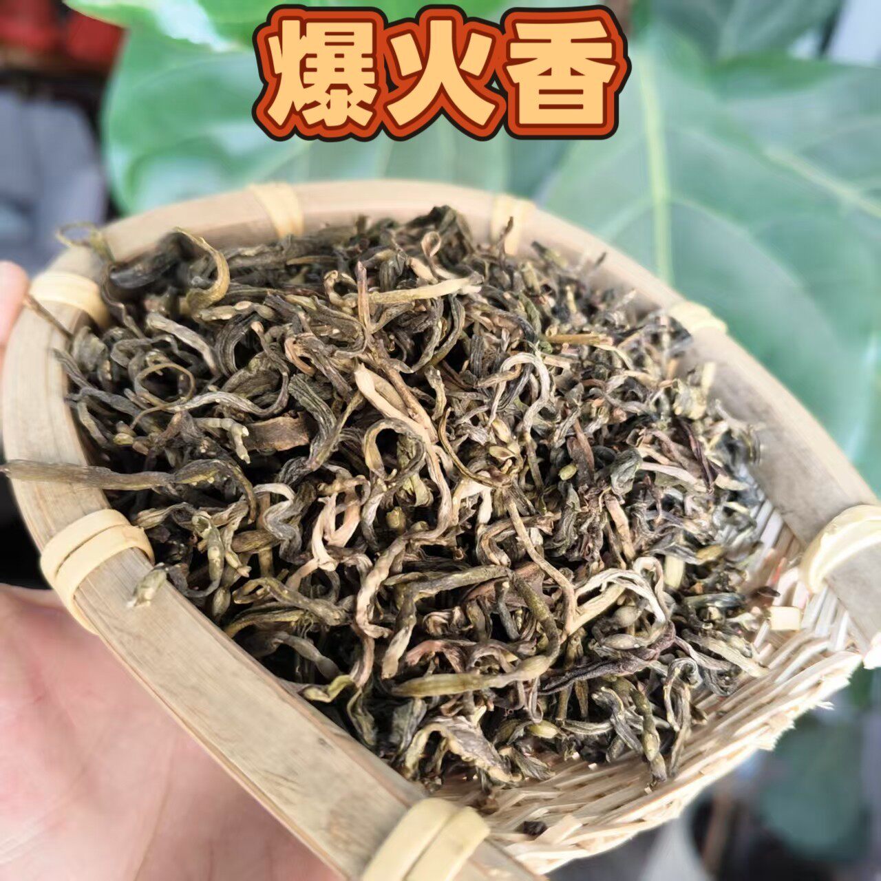 新日期2026年纯手工手炒茶爆火香绿茶炒熟浓香型茶叶怀集特产茶农