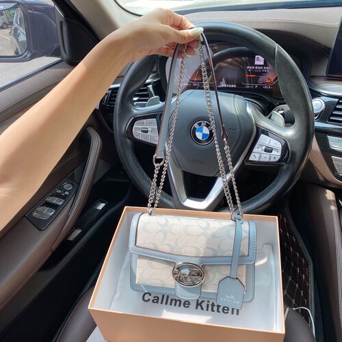 CallmeKitten经典撞色老花链条包
