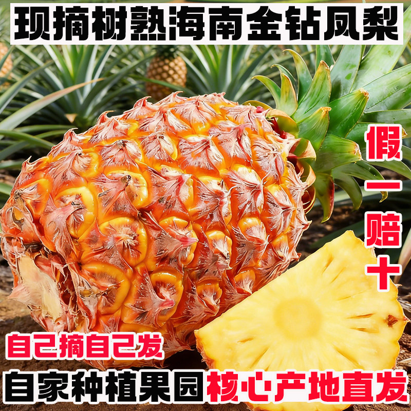 正宗海南金钻凤梨新鲜水果当季应季5斤树熟坏果包赔包邮
