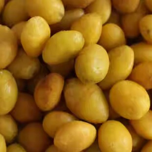 熟银杏仁白果仁原味椒盐焗即食银杏果白果即食银杏果即食白果罐装