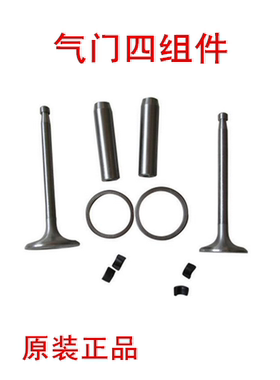 R175AR80AS195 Z S1100Z S1105ZS1110 Z S1115 气门四配套 四组合