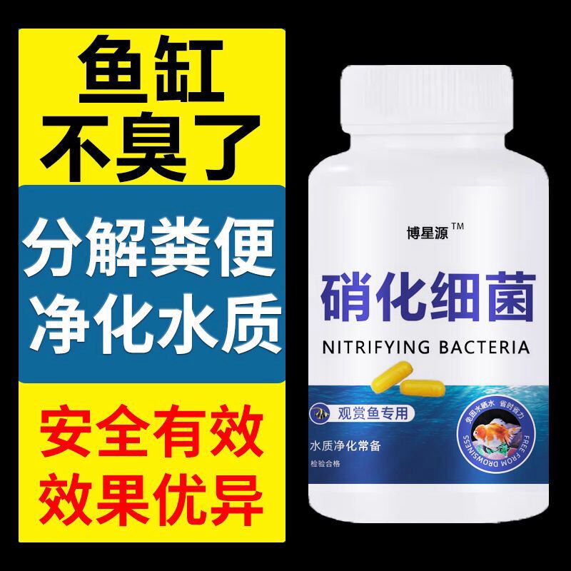鱼缸硝化细菌胶囊去除腥味水质净化打造空气缸分解鱼粪必备用品