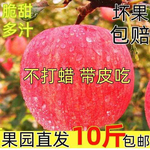 包邮正宗河南省三门峡灵宝寺河山特产苹果带箱10斤产地直销