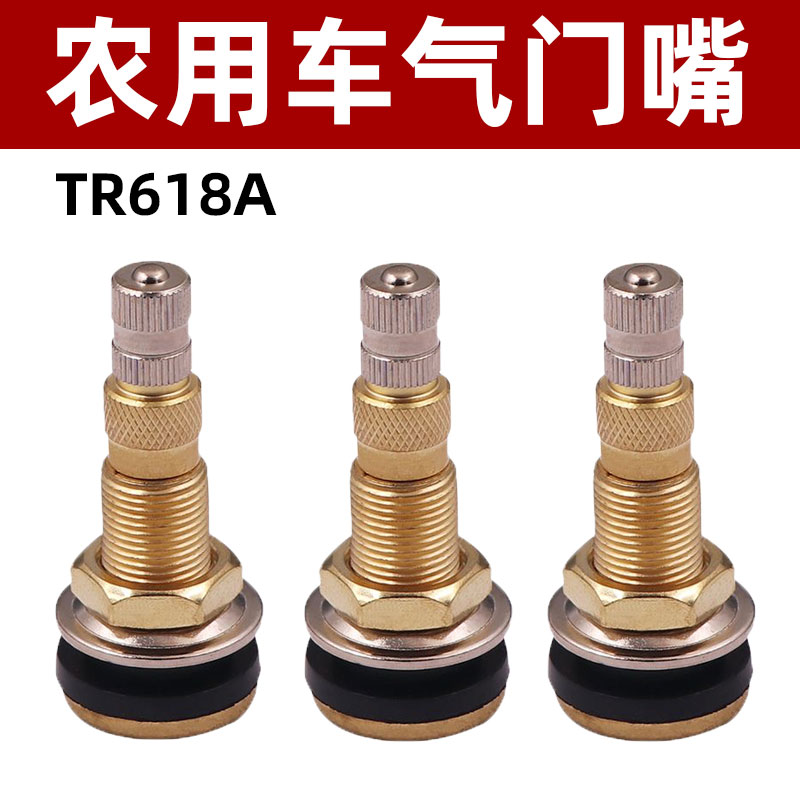 农用车气门嘴TR618A纯铜材质