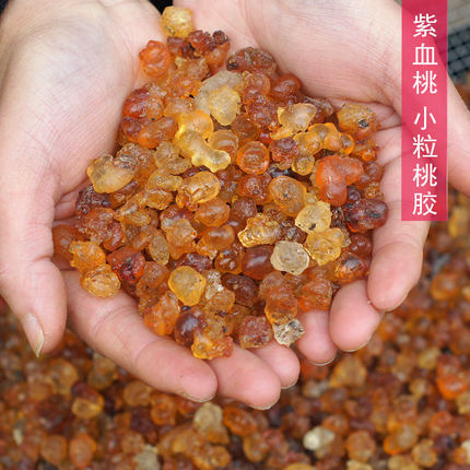 紫血桃小粒桃胶500g一斤装整颗粒杂质少天然桃花泪产地农家桃树胶