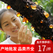 家姐桃胶天然500g一斤农家干货商用无杂质大颗粒旗舰店正品 桃树胶