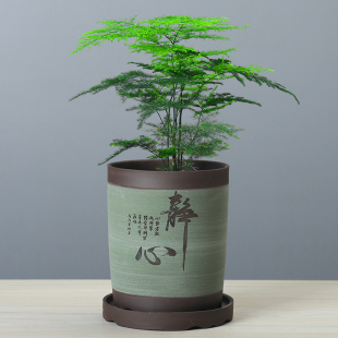 紫砂花盆圆口兰花君子兰多肉文竹发财树植精品透气陶瓷盆景盆带托