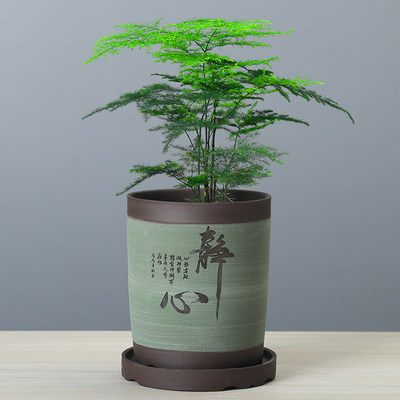 陶瓷盆景盆圆口兰花发财树精品