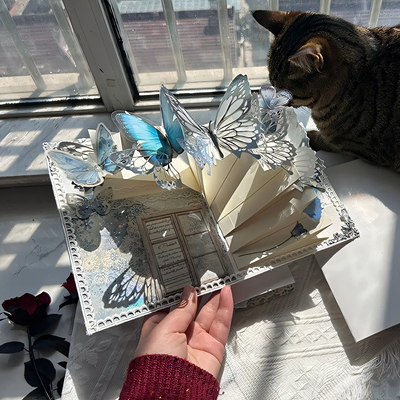 蝴蝶立体书手工diy材料包闺蜜