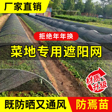 遮阳网防晒隔热遮光网加厚加密抗老化农用菜地蔬菜大棚专用黑纱网