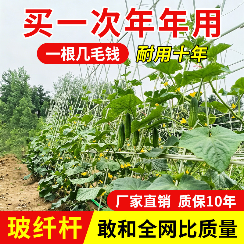 农用小拱棚支架玻璃纤维杆养殖大棚菜园温室骨架育苗园艺实心拱杆