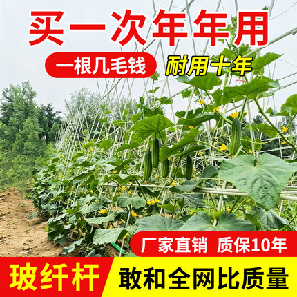 农用小拱棚支架玻璃纤维杆养殖大棚菜园温室骨架育苗园艺实心拱杆