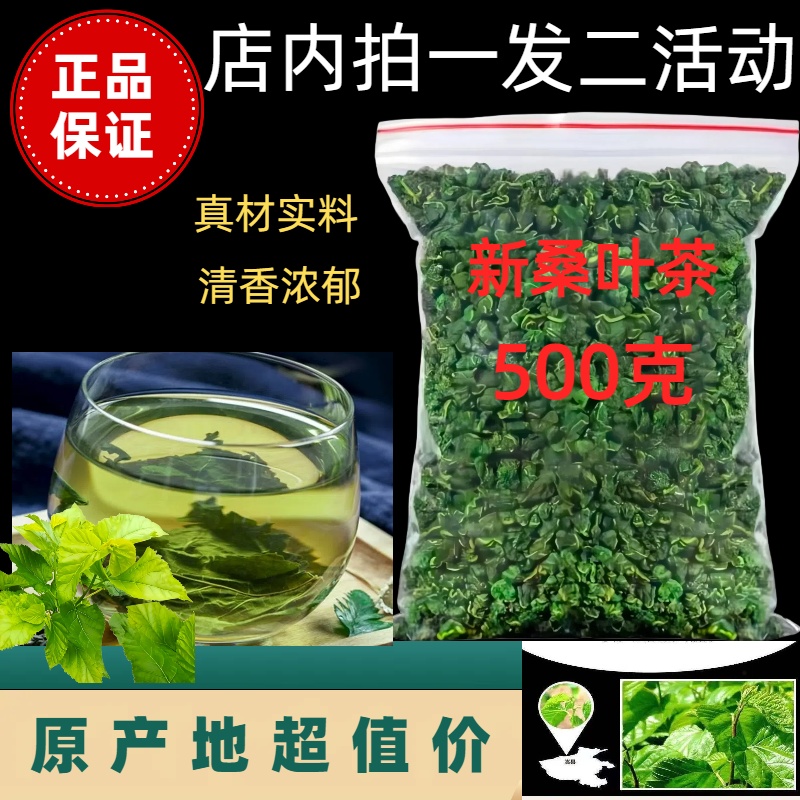 正宗霜后桑叶茶中药材桑叶茶特级