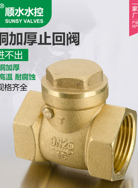全铜加厚止回阀铜卧式4分6分3寸水泵DN100水表管65单向阀门80防逆
