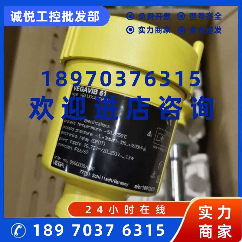 议价VEGAVIB61 VEGA威格 导波雷达液位计VB61.XXAGDRKMX