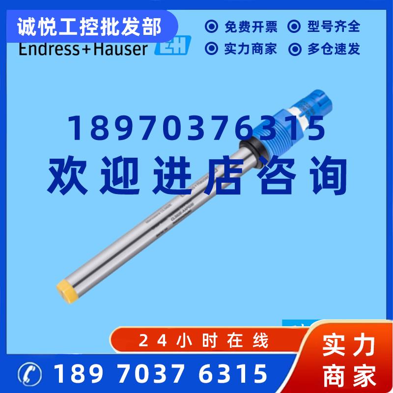 议价E+H数字电极CLS82E-AAGA30恩德斯豪斯 CLS82E-10D8/0电导率传