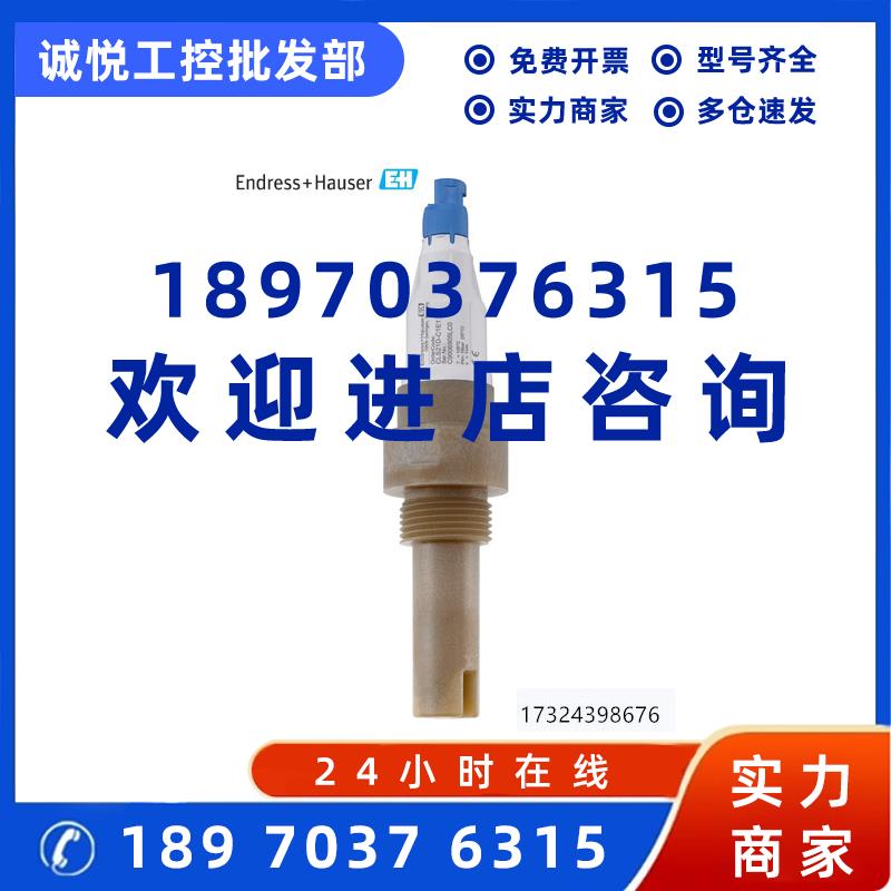 议价E+H数字式电导率传感器CLS21D-C1N1 CLS21D-C1E1拍前咨询
