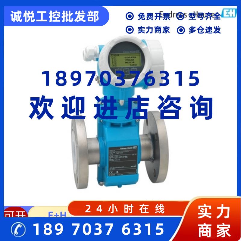 议价E+H电磁流量计10P25-EL0A1RA0B4AA 10P80-EC1A1AA0A4AA全新原