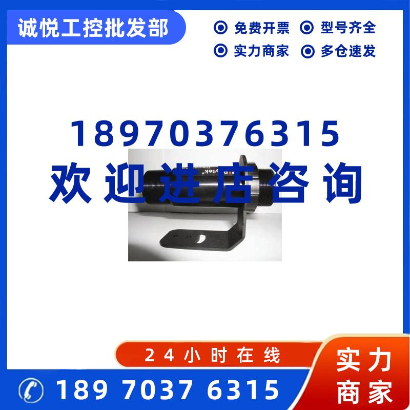 议价RAYGPRSF在线式红外测温仪GPRSF红外线测温传感探头Raytek现