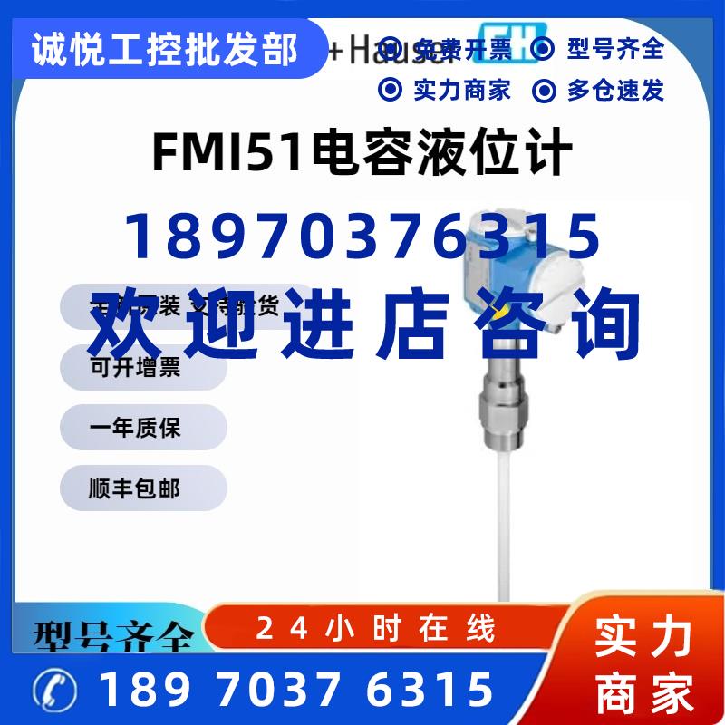议价E+H电容物位计FMI51-A2AGEJB3A1A 原装正品 序列号可查