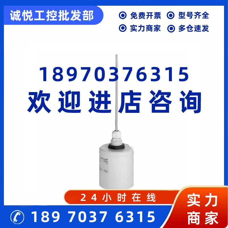 议价E+H 超声波物位计探头FDU92-RG2A 现货 Endress+Hauser 探头