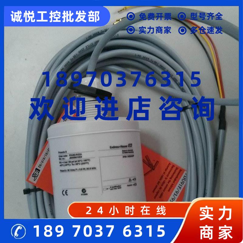 议价FDU91-RG1AA德国E+H超声波物位计探头FDU91-RG2AA FDU92