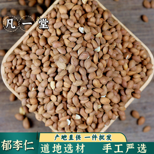 中药材郁李仁 郁里仁小李仁郁李肉郁车仁郁李仁火麻仁 蒲公英